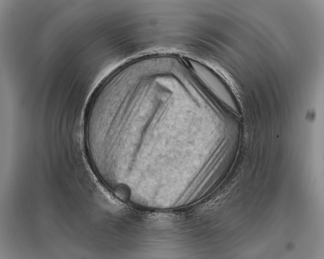 X0000096680894200802261513