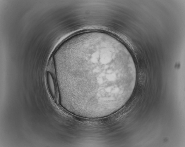 X0000096680895200802261513