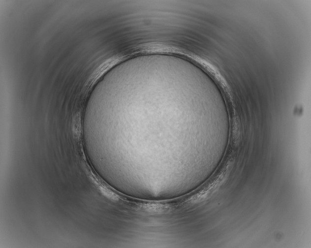 X0000096680897200802261513