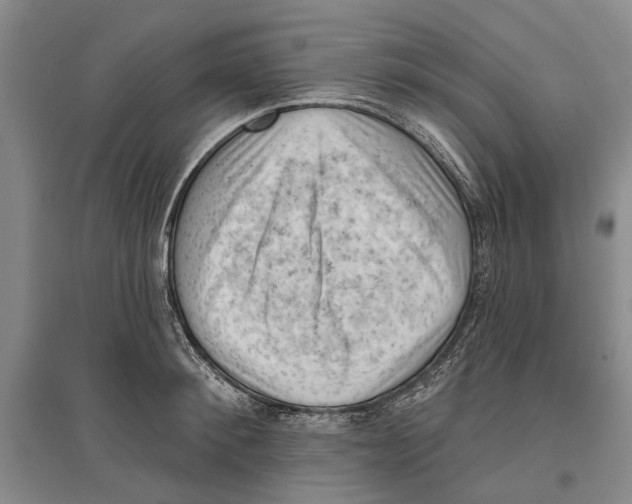 X0000096680900200802261513