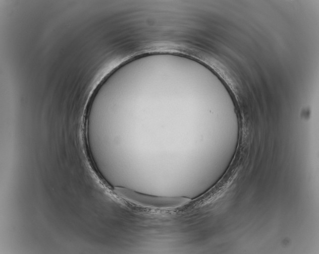 X0000096680901200802261513