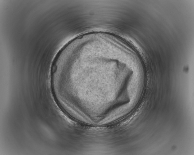 X0000096680902200802261513