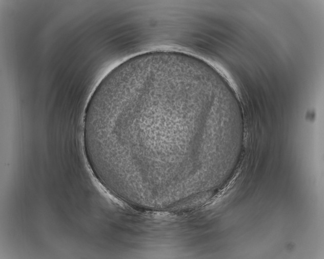 X0000096680903200802261513