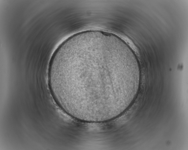 X0000096680904200802261513