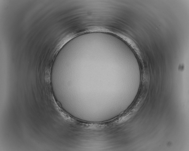 X0000096680905200802261513