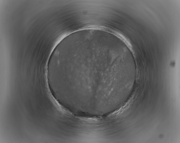 X0000096680907200802261513