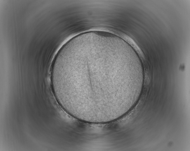 X0000096680908200802261513