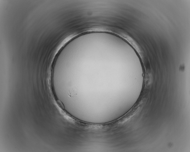 X0000096680909200802261513