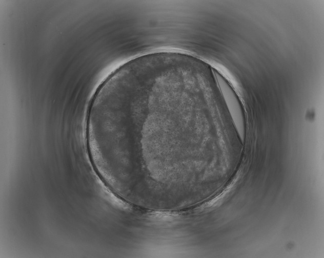 X0000096680910200802261513