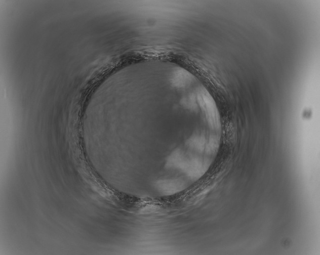 X0000096680913200802261512