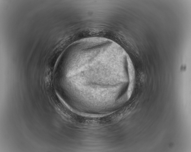 X0000096680914200802261512