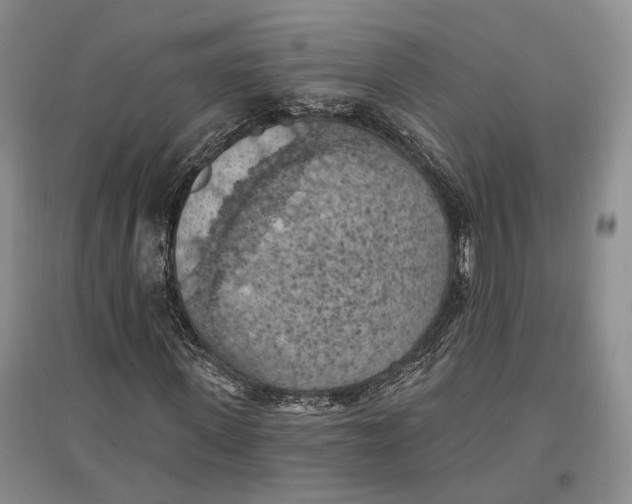 X0000096680915200802261512