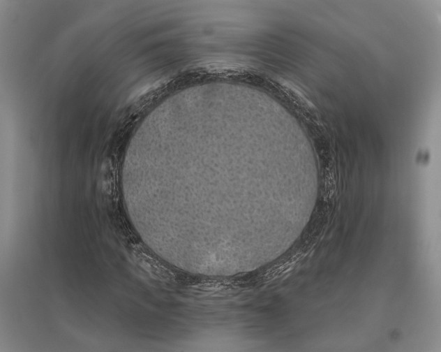 X0000096680917200802261512