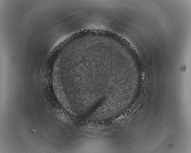 X0000096680919200802261512