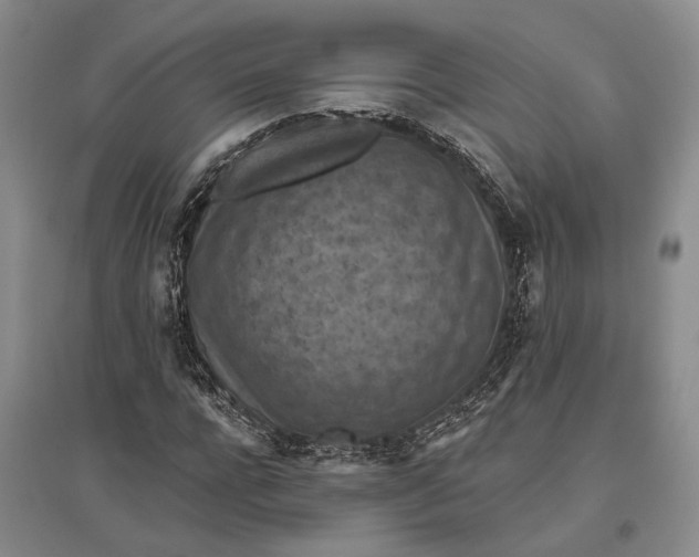 X0000096680920200802261512