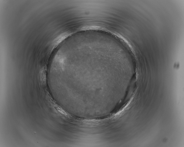 X0000096680921200802261512