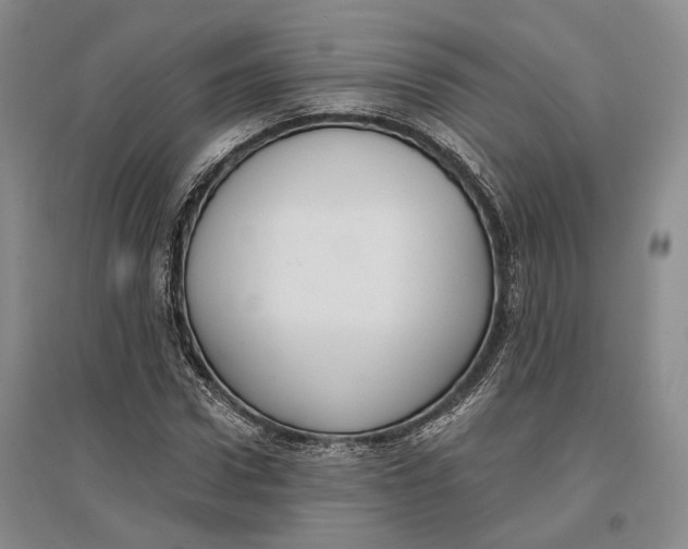 X0000096680922200802261512