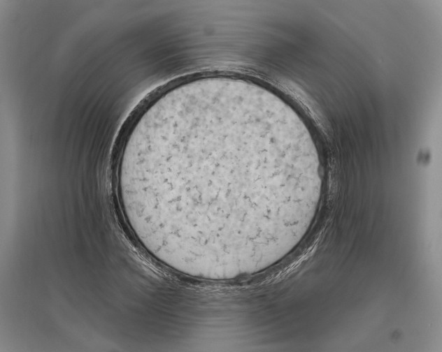 X0000096680924200802261512