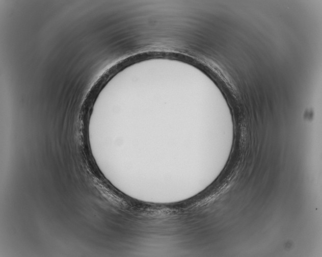 X0000096680926200802261512