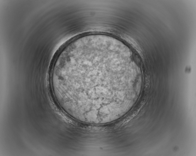 X0000096680928200802261512