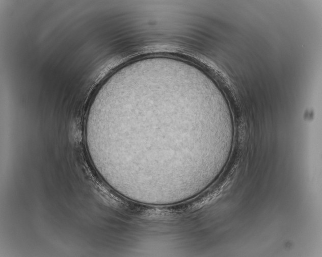 X0000096680929200802261512