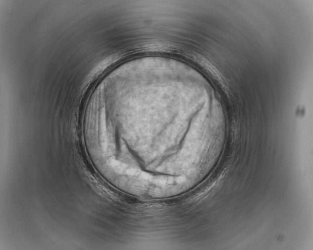 X0000096680930200802261512