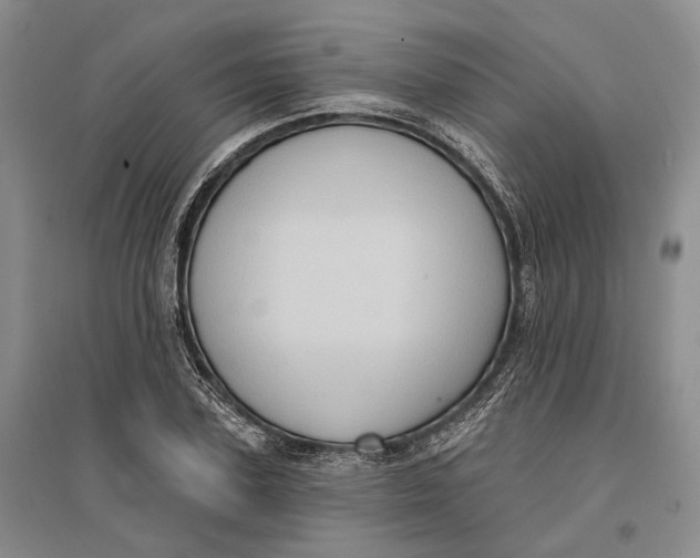 X0000096680931200802261512