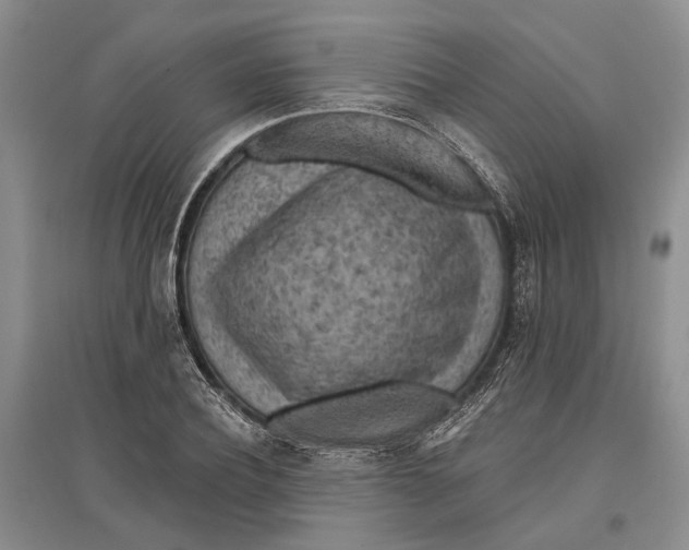 X0000096680932200802261512