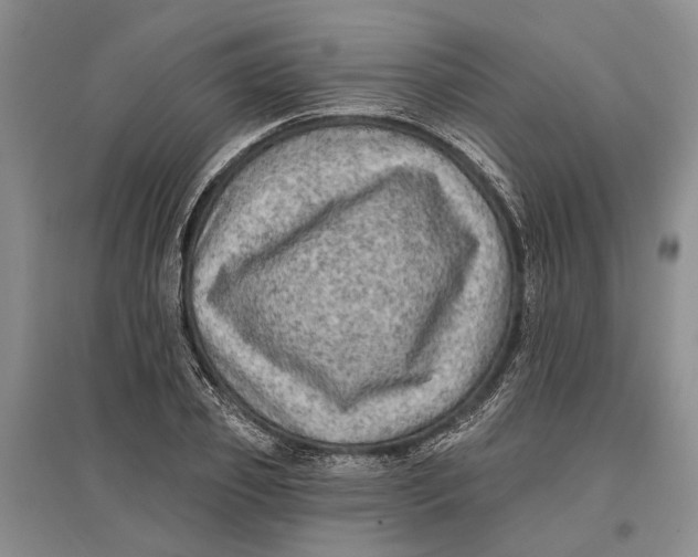 X0000096680933200802261512