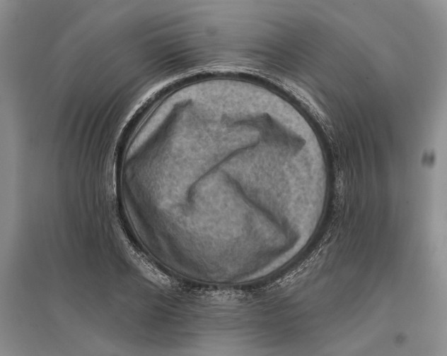 X0000096680934200802261513