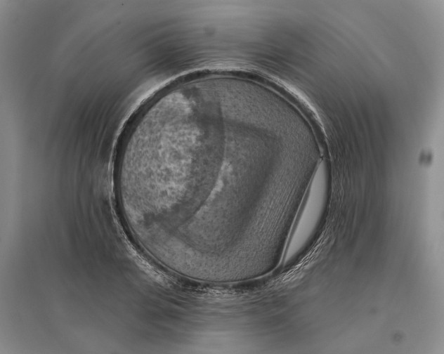 X0000096680935200802261513