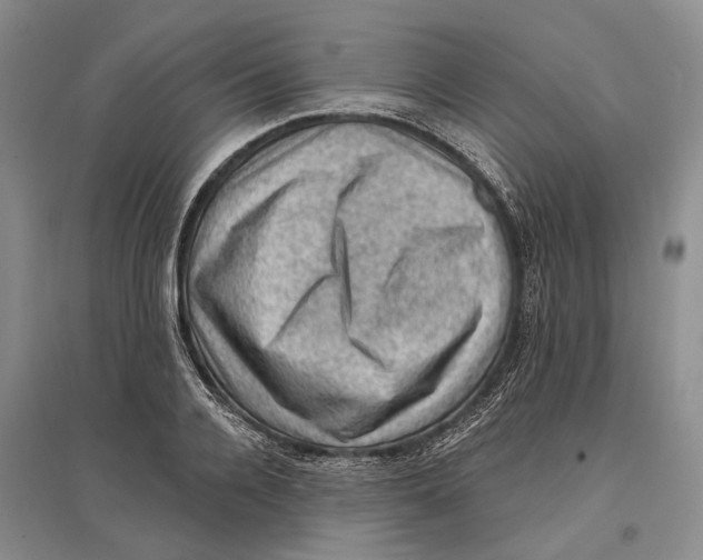 X0000096680936200802261513