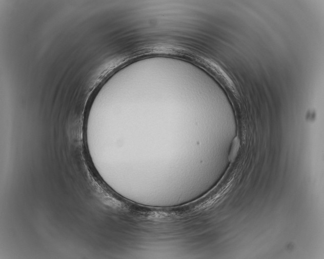 X0000096680938200802261513