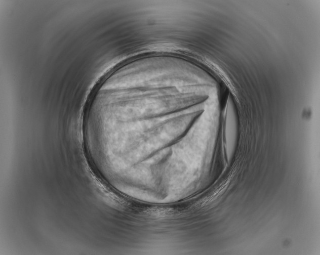 X0000096680939200802261513