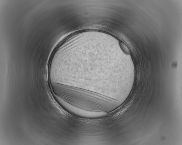 X0000096680940200802261513