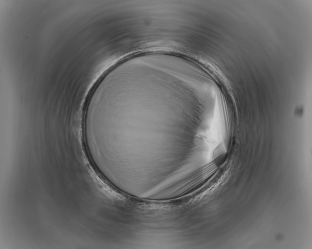 X0000096680941200802261513