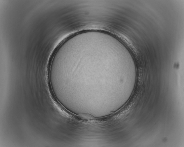 X0000096680942200802261513