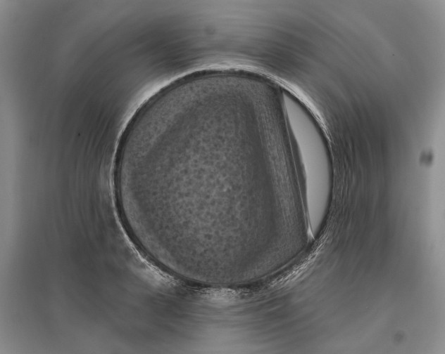 X0000096680943200802261513