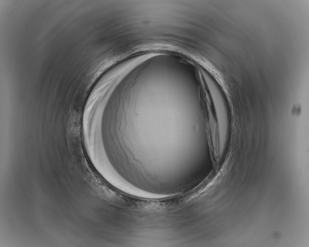 X0000096680945200802261513