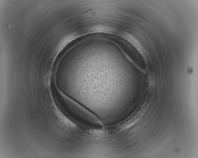 X0000096680946200802261513