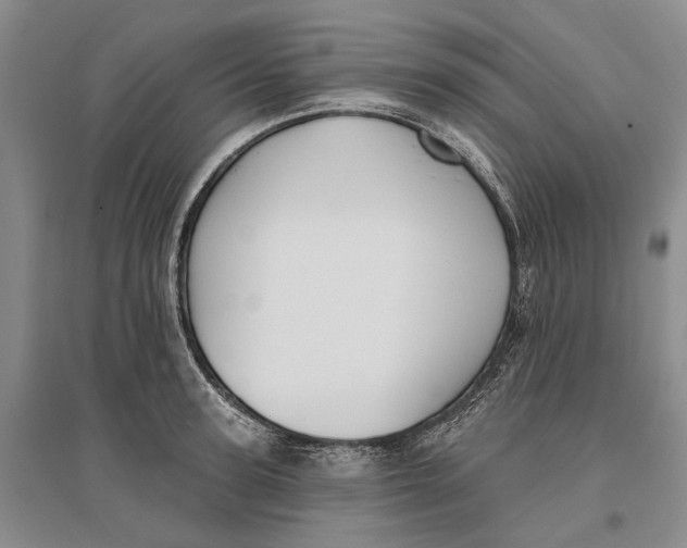 X0000096680947200802261513