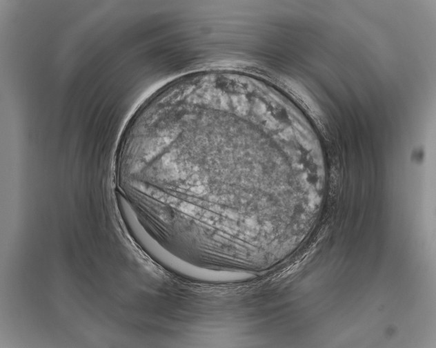 X0000096680948200802261513