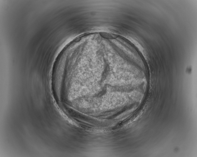 X0000096680949200802261513