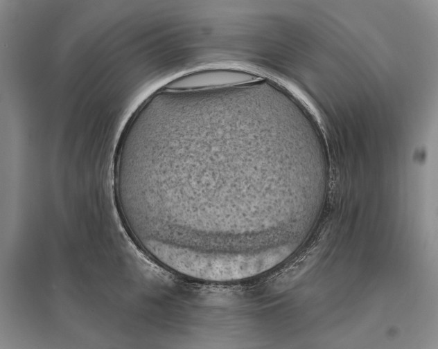 X0000096680951200802261513