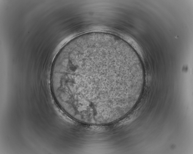 X0000096680954200802261513