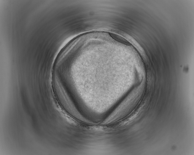 X0000096680956200802261513