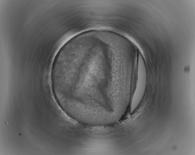 X0000096680959200802261513