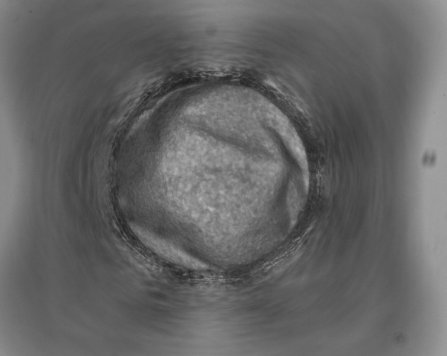 X0000096680961200802261512