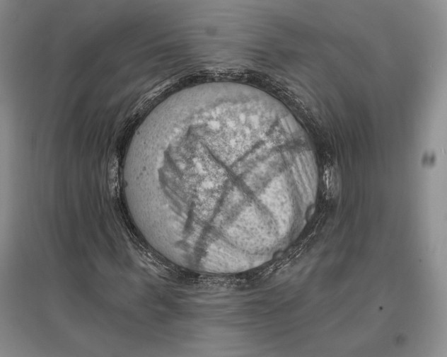 X0000096680963200802261512