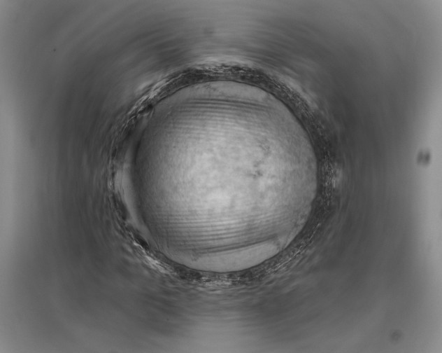 X0000096680965200802261512